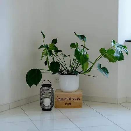 Appartement In The Center With Free Parking